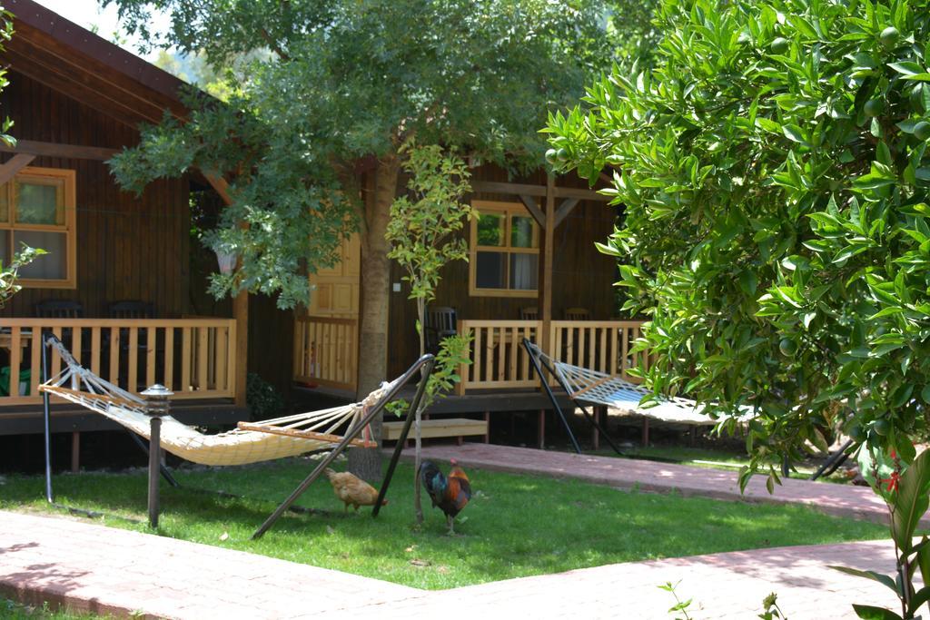 Caretta Caretta Pension Чирали Стая снимка
